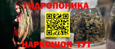 дмт Кинель