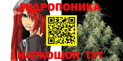дмт Кинель