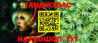 шишки Кингисепп