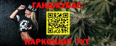 шишки Кингисепп
