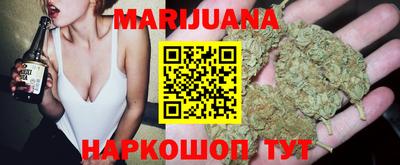 шишки Кингисепп