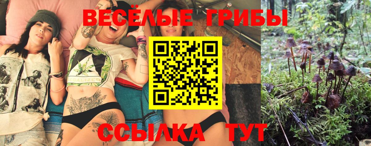 Псилоцибиновые грибы Psilocybine cubensis Азов